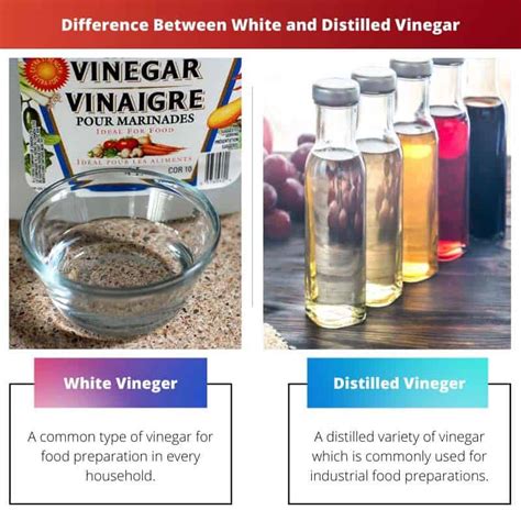 malted vinegar vs regular.